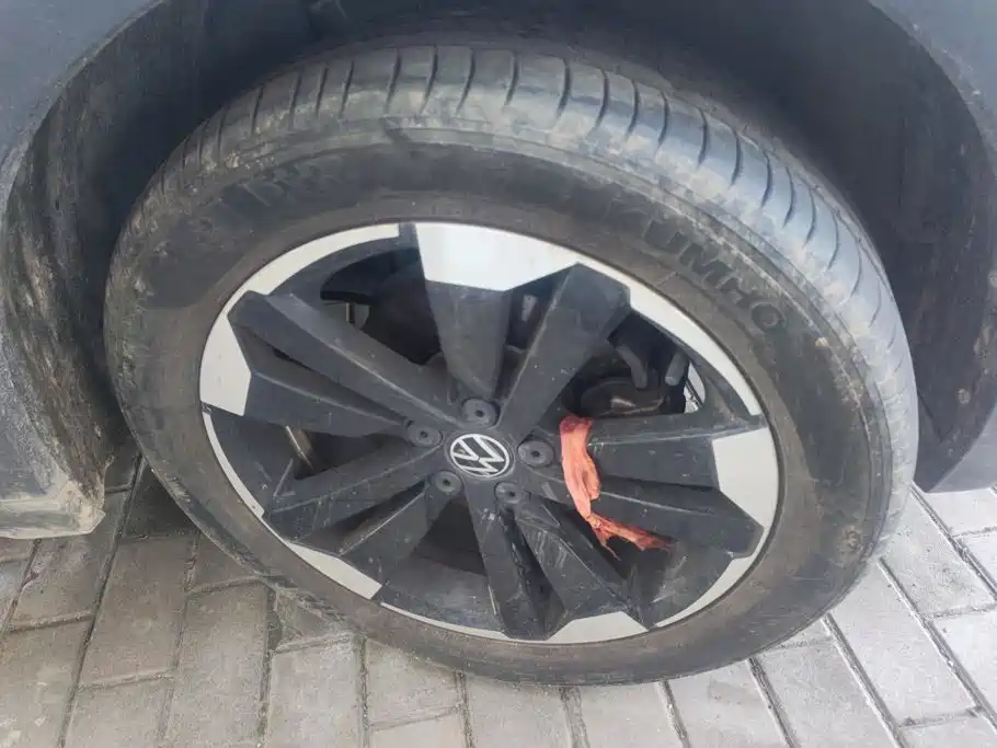 Volkswagen Tacqua — миниатюра 6