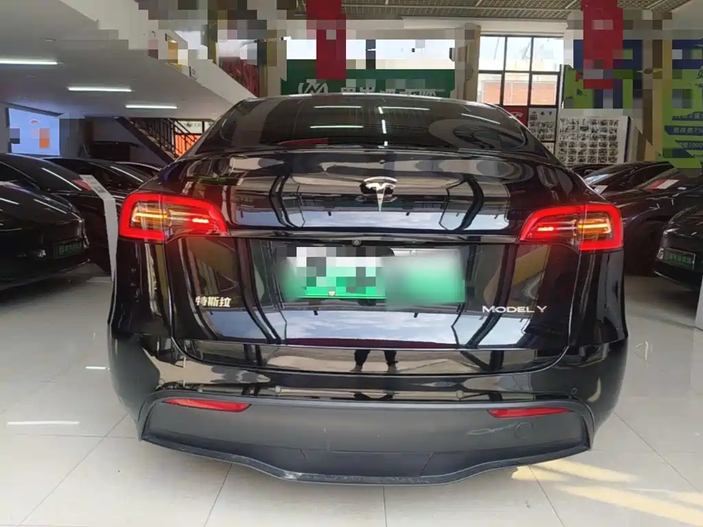 Tesla Model Y — миниатюра 6