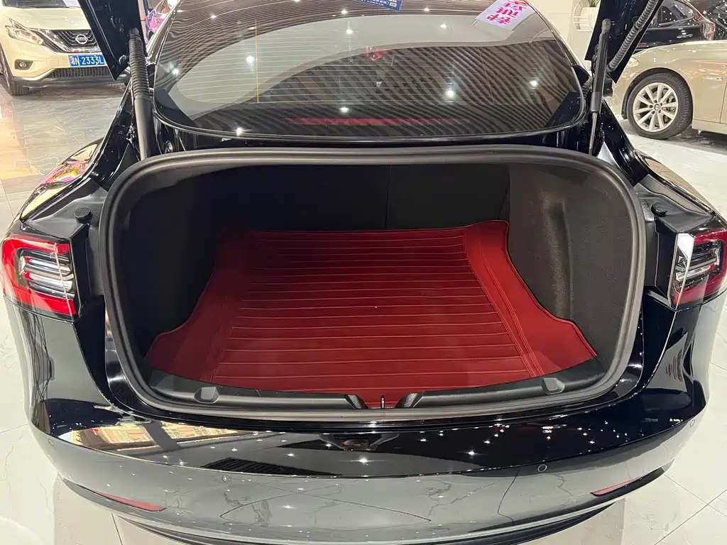 Tesla Model 3 — миниатюра 13