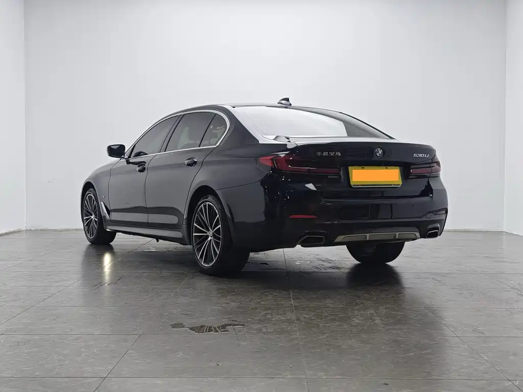 BMW 5 Series — миниатюра 4