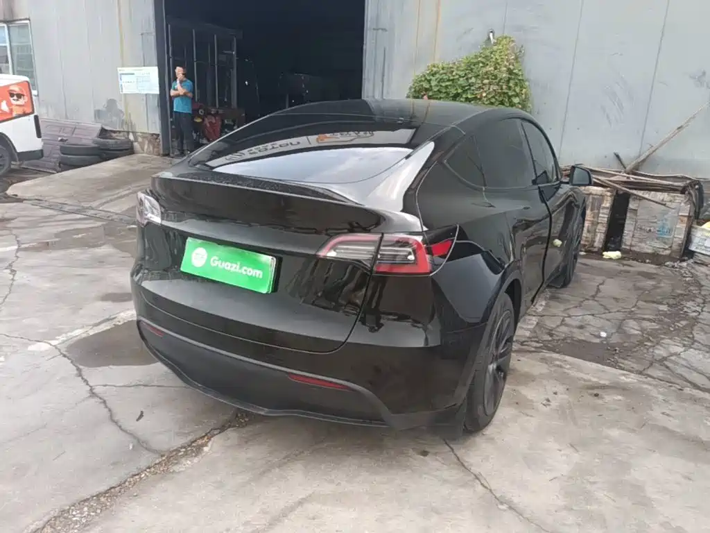 Tesla Model Y — миниатюра 7