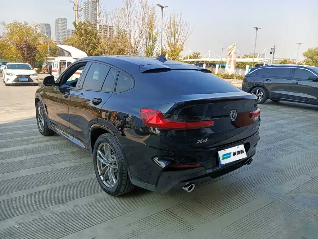 BMW X4 — миниатюра 4