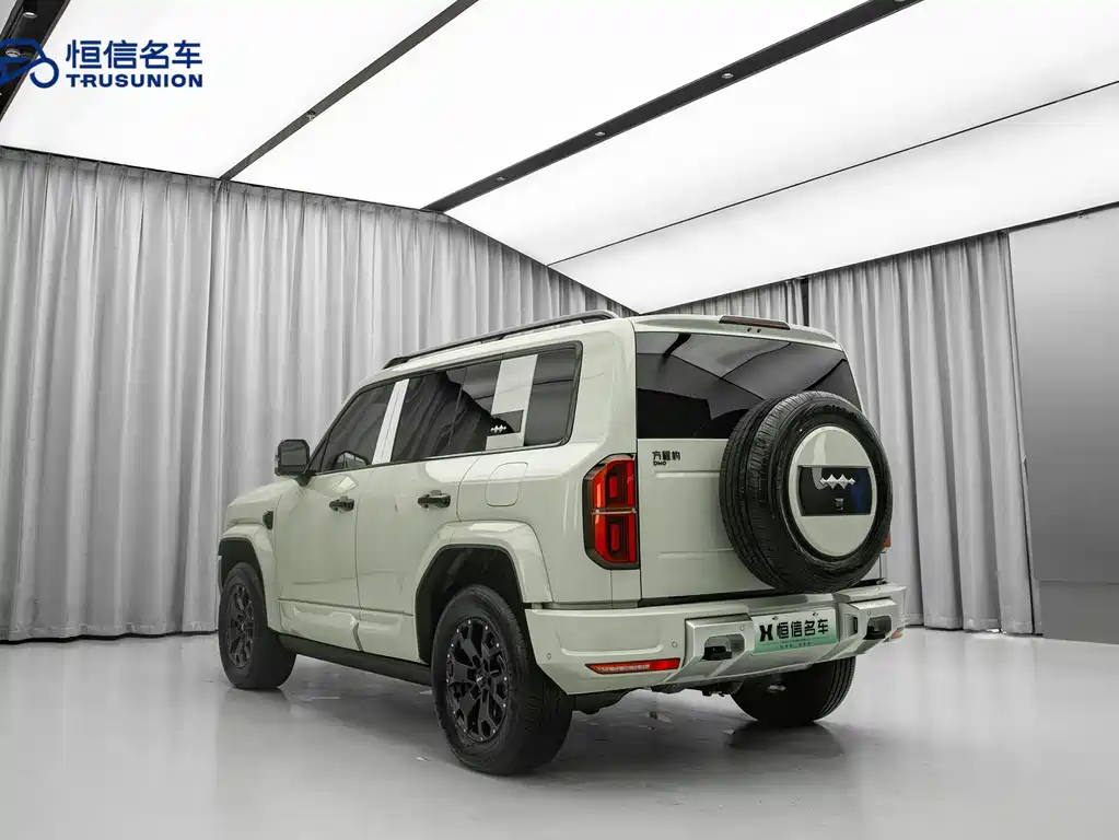 FANG CHENG BAO LEOPARD 5