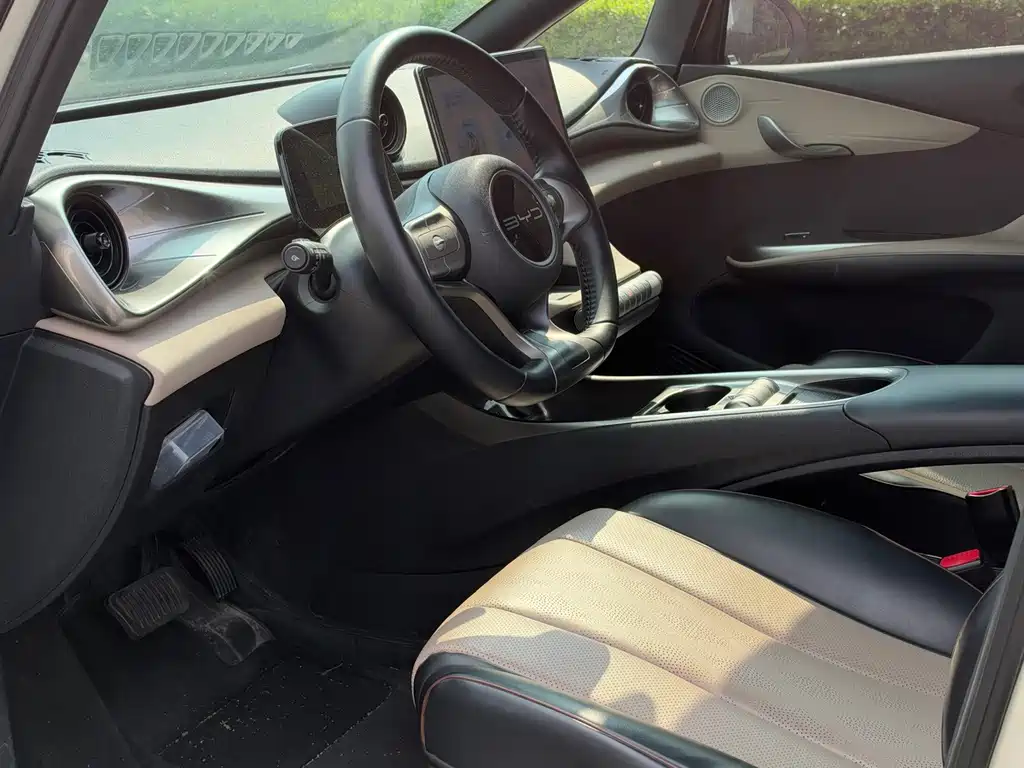 BYD Dolphin — миниатюра 5