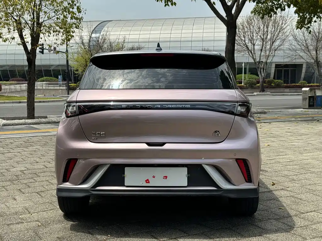 BYD Dolphin — миниатюра 5