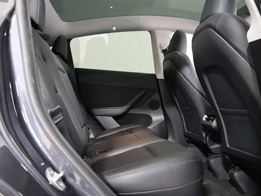Tesla Model Y — миниатюра 6