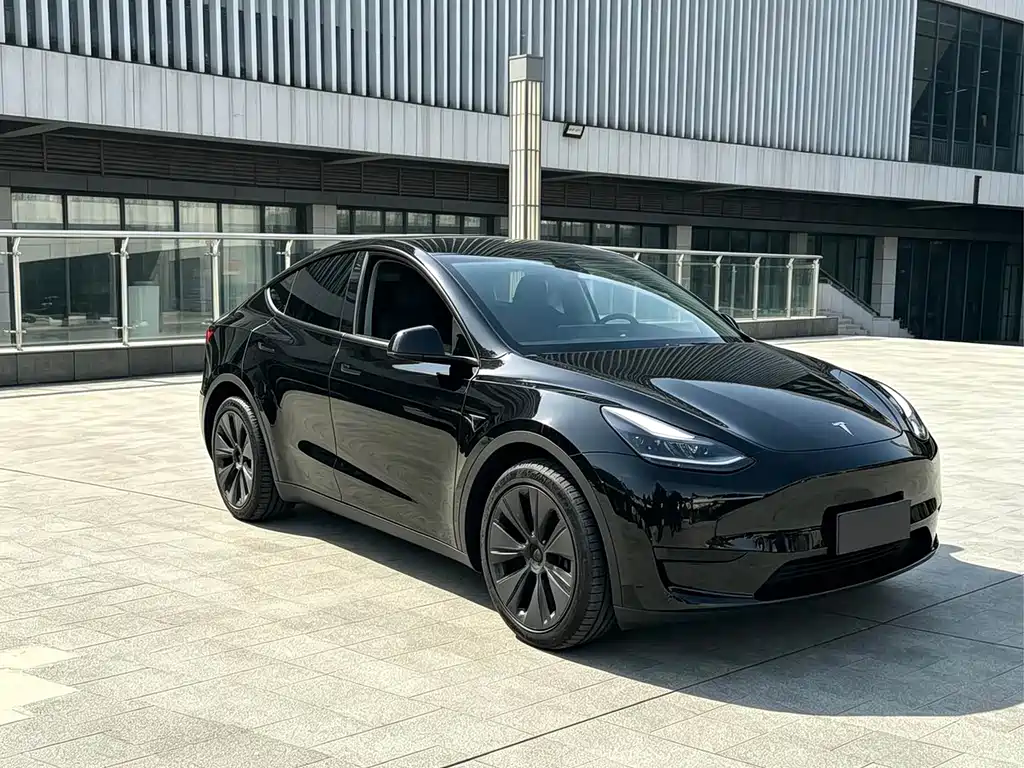 Tesla Model Y — миниатюра 2