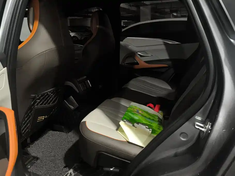 BYD Pro New Energy — миниатюра 11