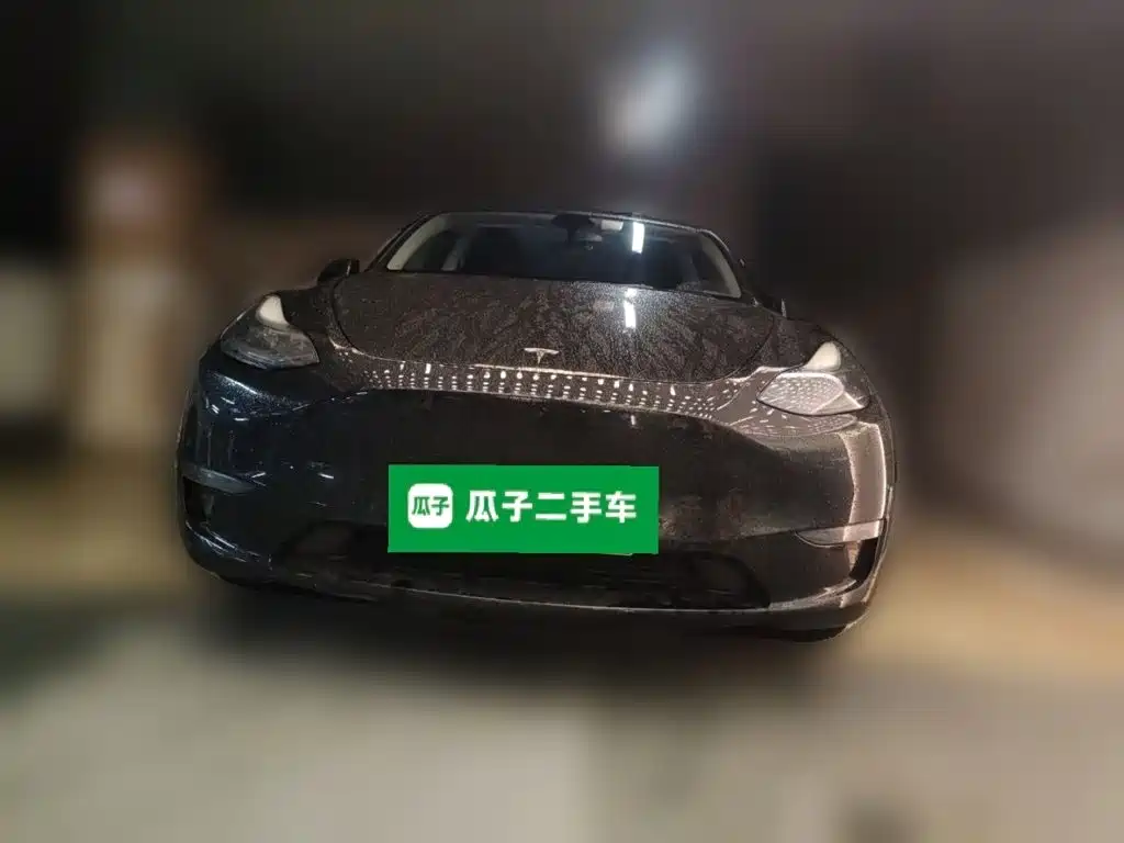 Tesla Model Y — миниатюра 3