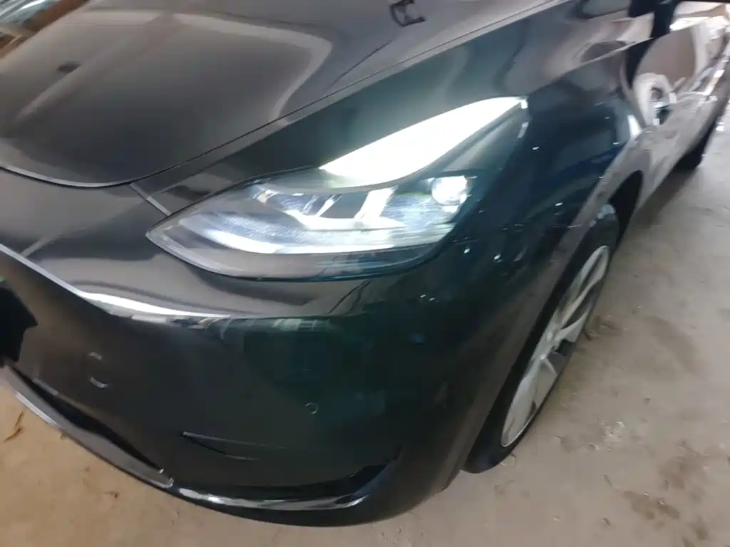 Tesla Model Y — миниатюра 24