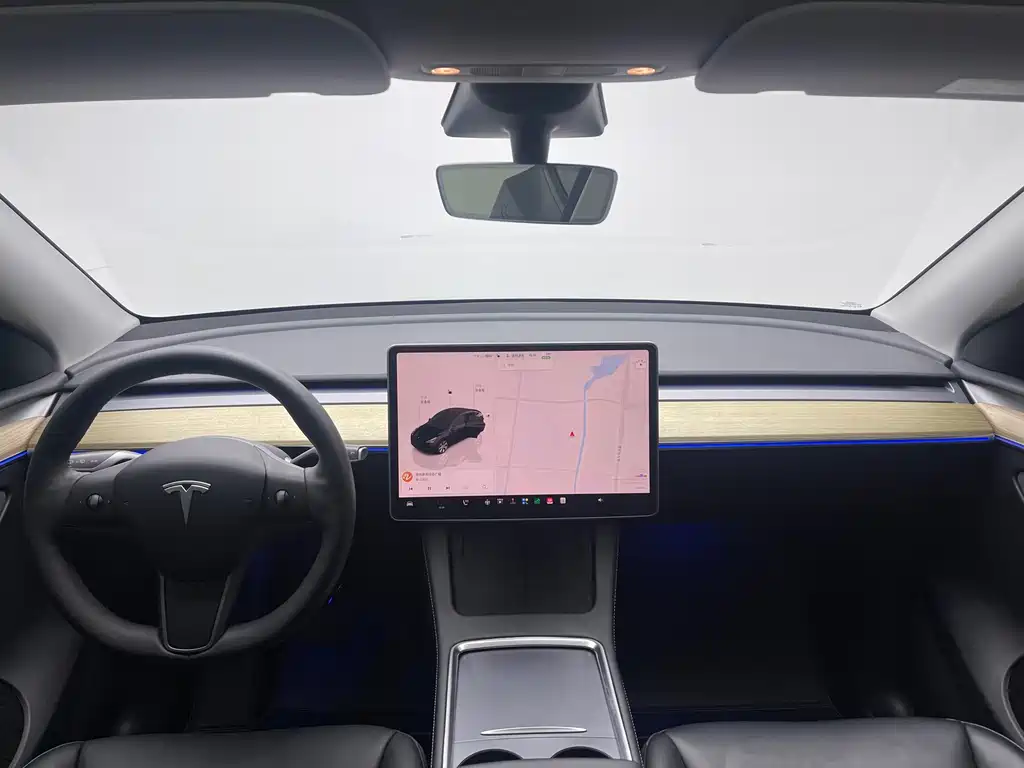 Tesla Model Y — миниатюра 13