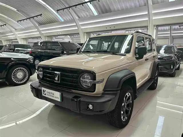 2025 TANK 300