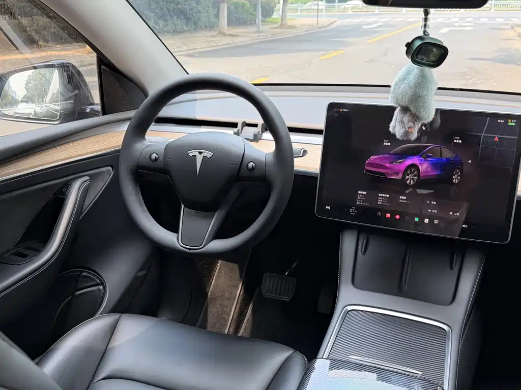 Tesla Model Y — миниатюра 12