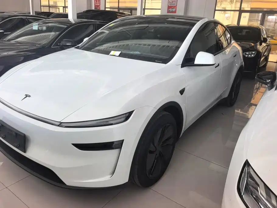 Tesla Model Y — миниатюра 2