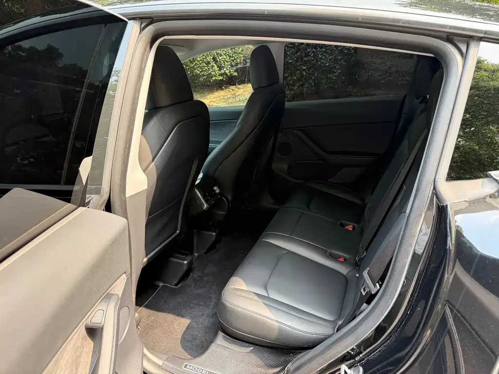 Tesla Model Y — миниатюра 10