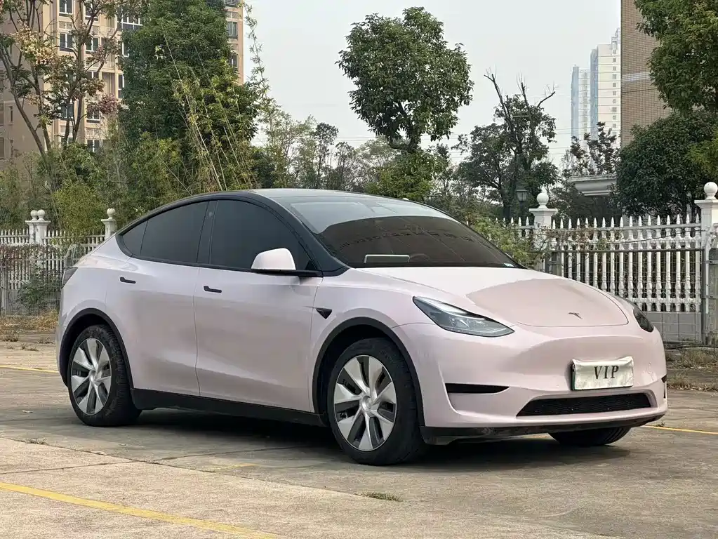 Tesla Model Y — миниатюра 3