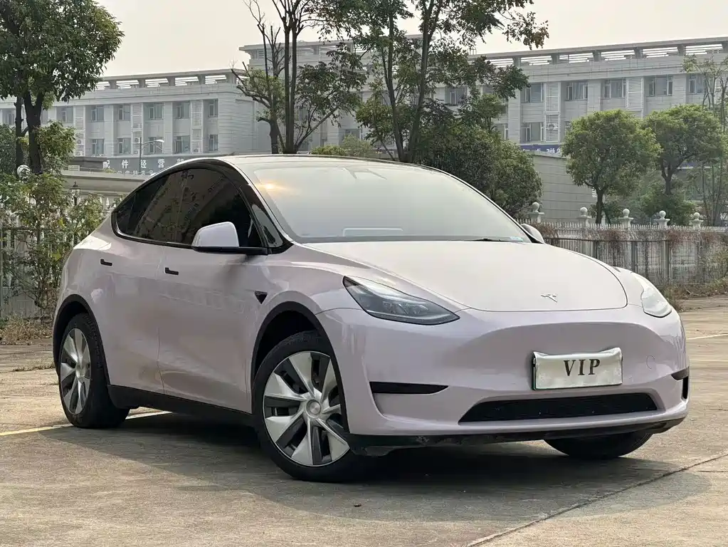 Tesla Model Y — миниатюра 12