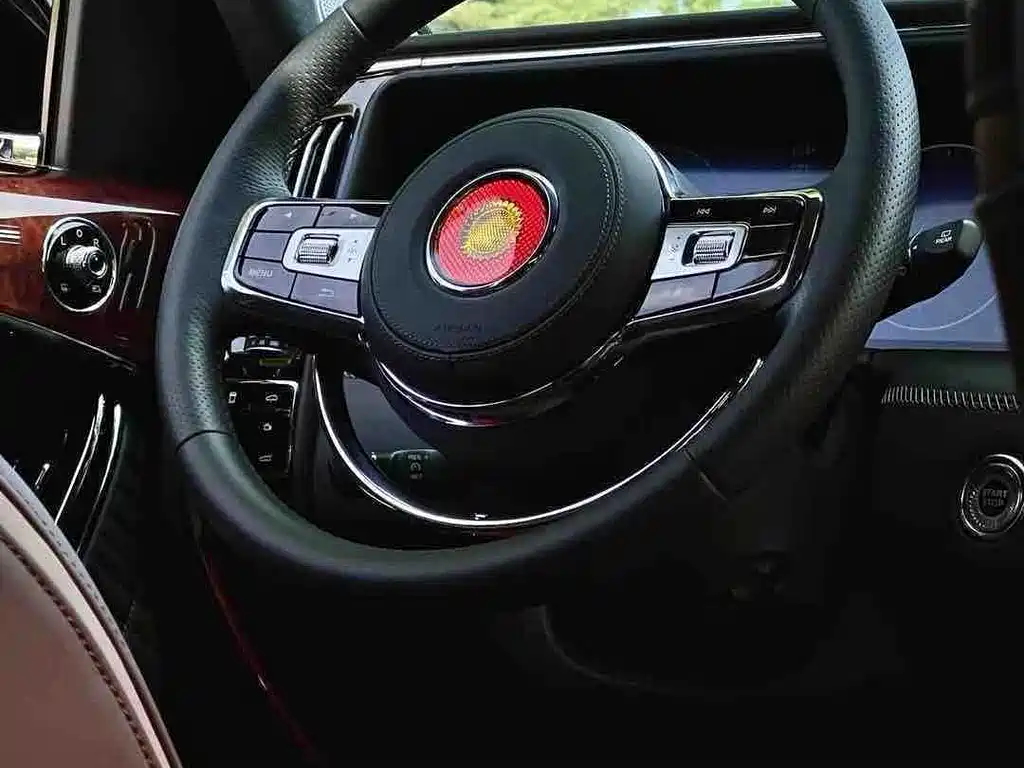 Hongqi Hongqi Golden Sunflower Guoyao — миниатюра 23