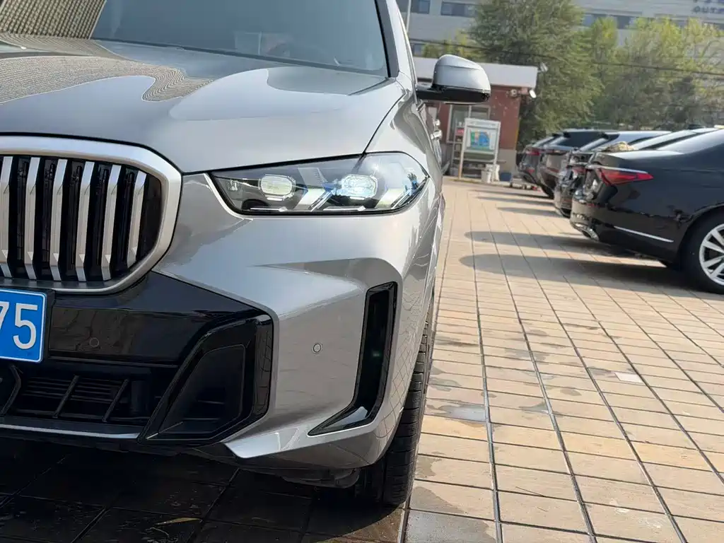 BMW X5 — миниатюра 4