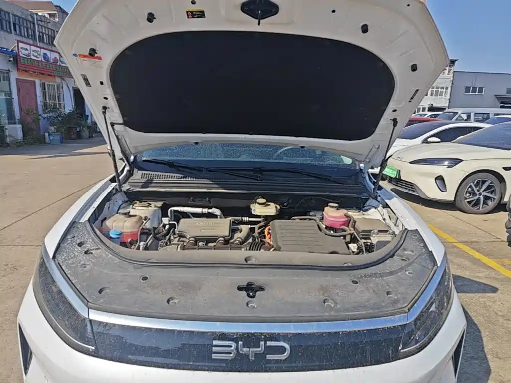 BYD Sealion 05 DM-i — миниатюра 20