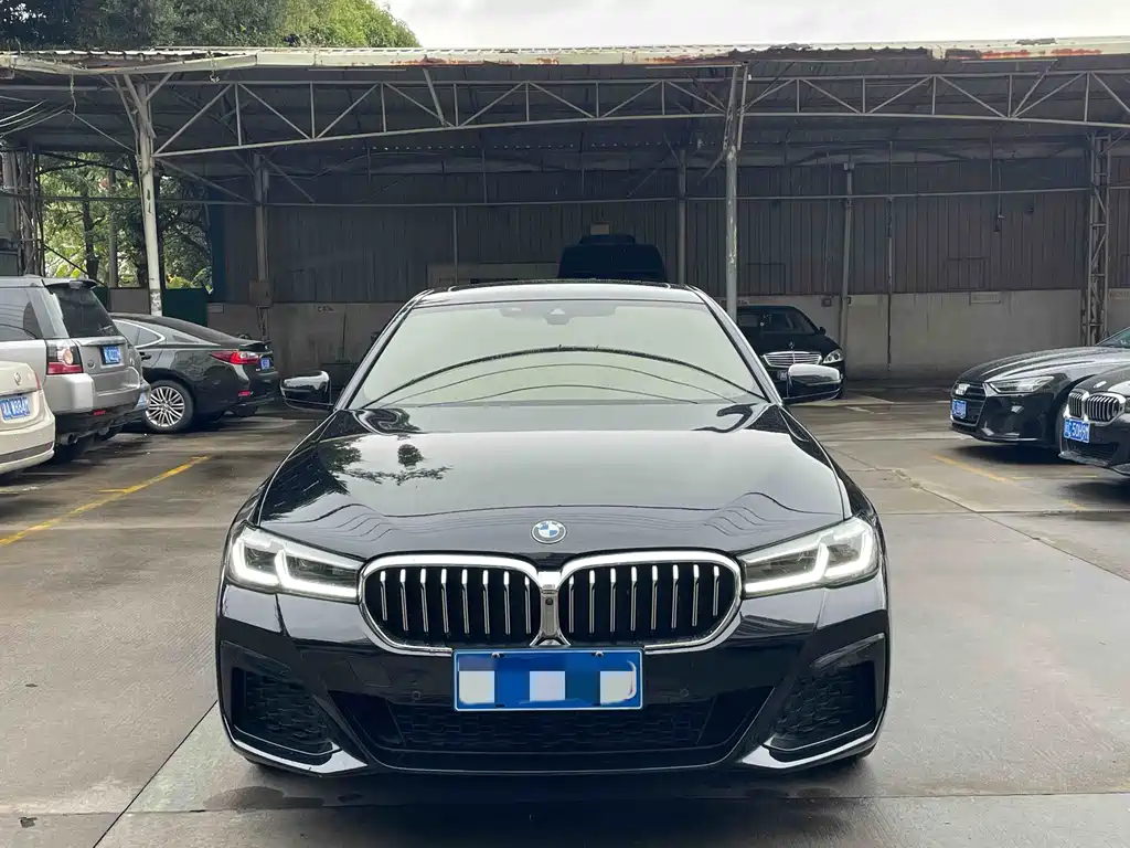 BMW 5 SERIES
