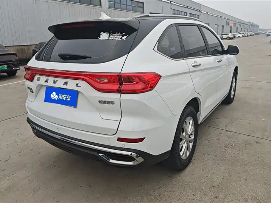 HAVAL M6