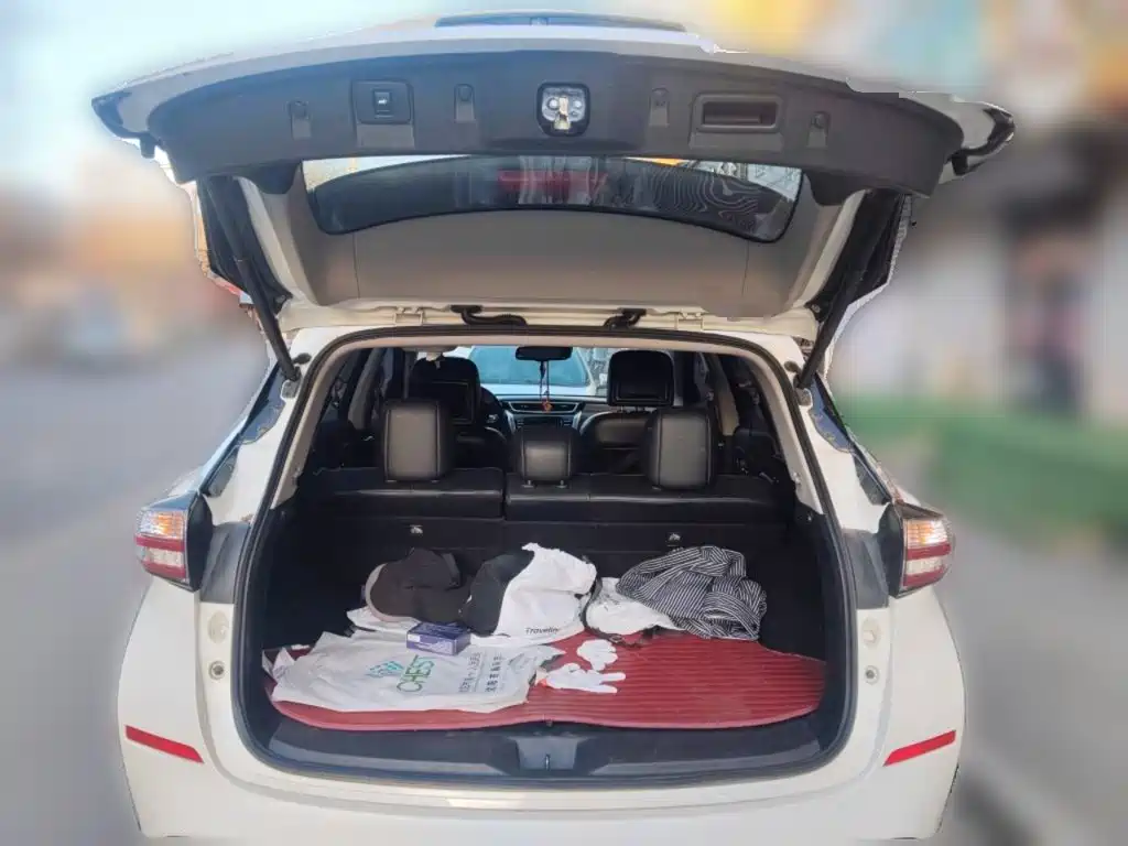 Nissan Murano — миниатюра 10