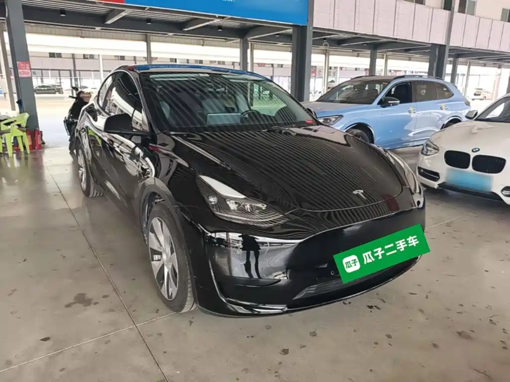 Tesla Model Y — миниатюра 4