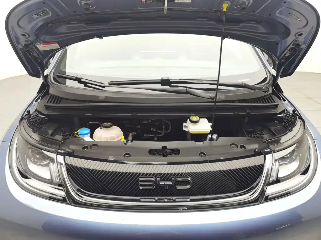 BYD Dolphin — миниатюра 6