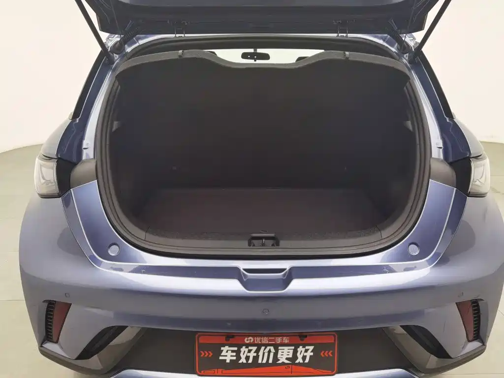 BYD Dolphin — миниатюра 16