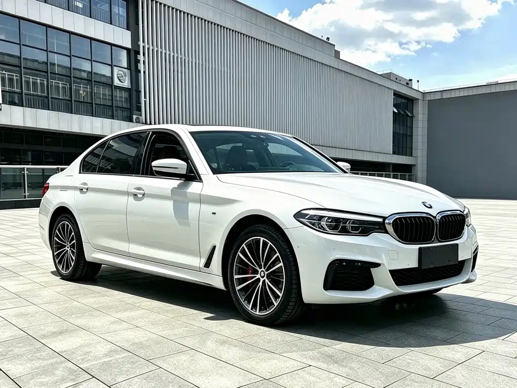 BMW 5 Series — миниатюра 2