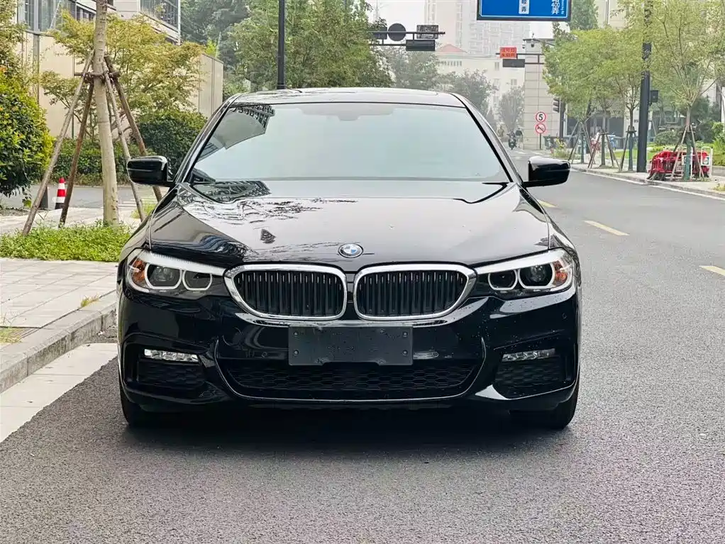 BMW 5 SERIES