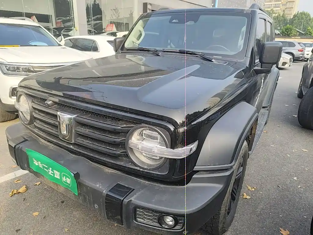 Tank 300