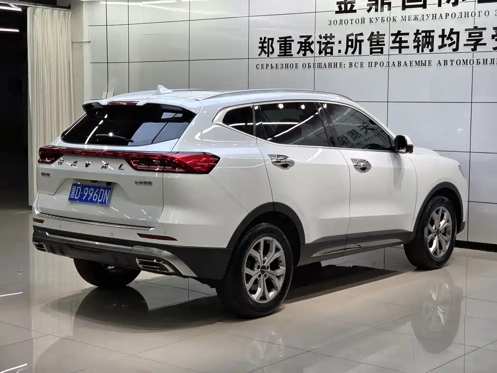 Haval H6 — миниатюра 4
