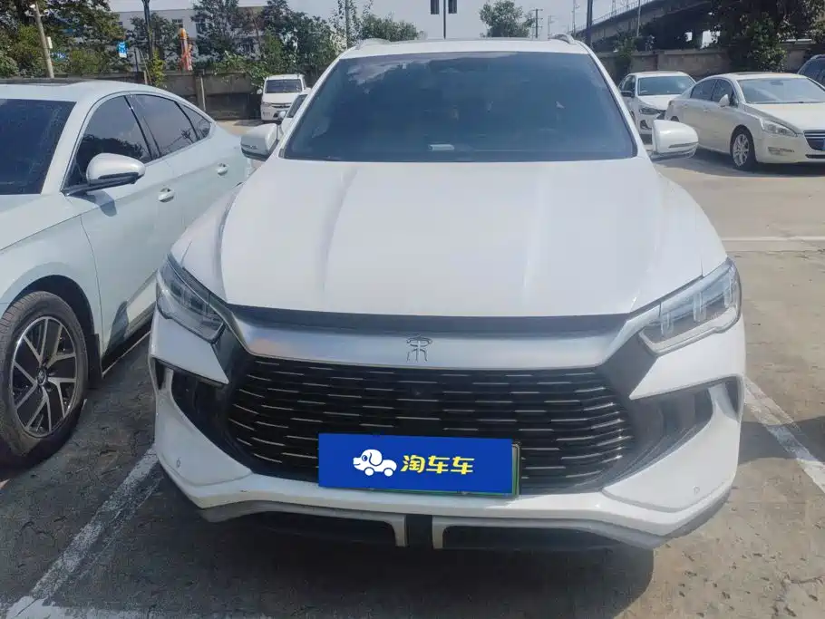BYD Pro New Energy — миниатюра 2