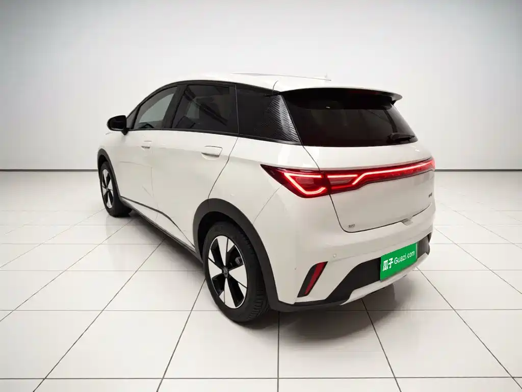 BYD Dolphin — миниатюра 25