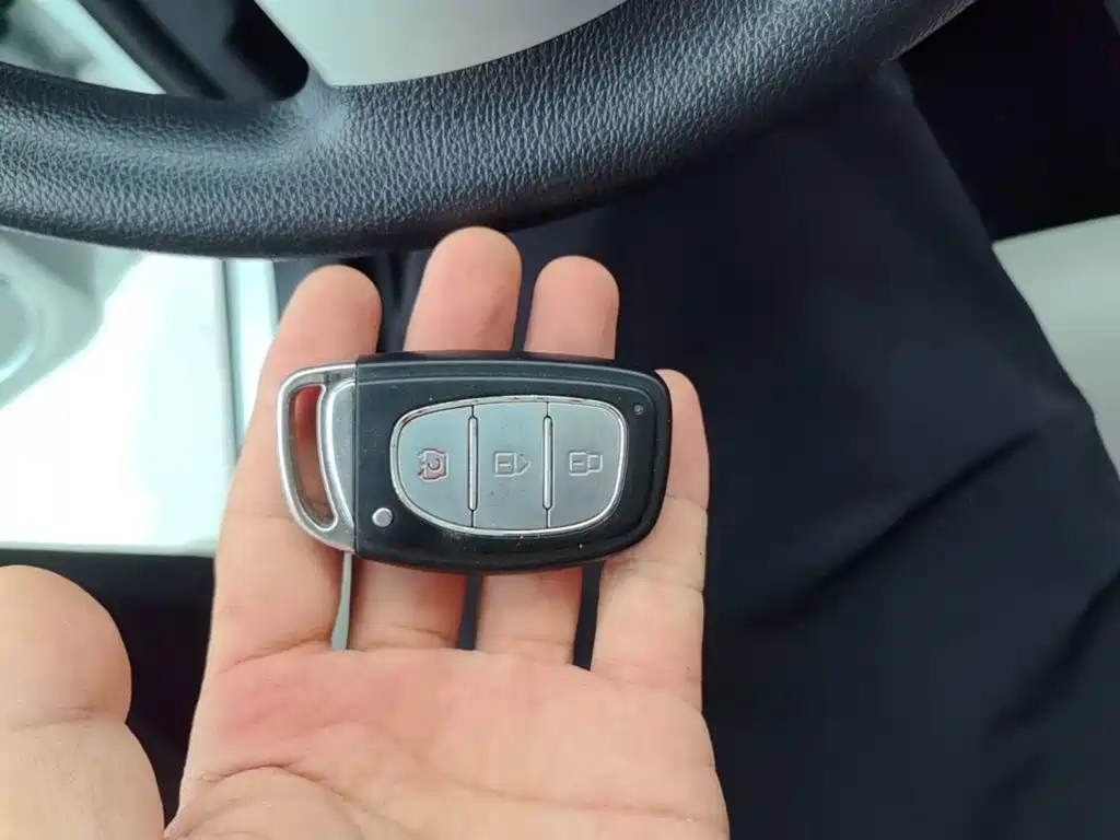 Huasu Huansu H3 — миниатюра 9