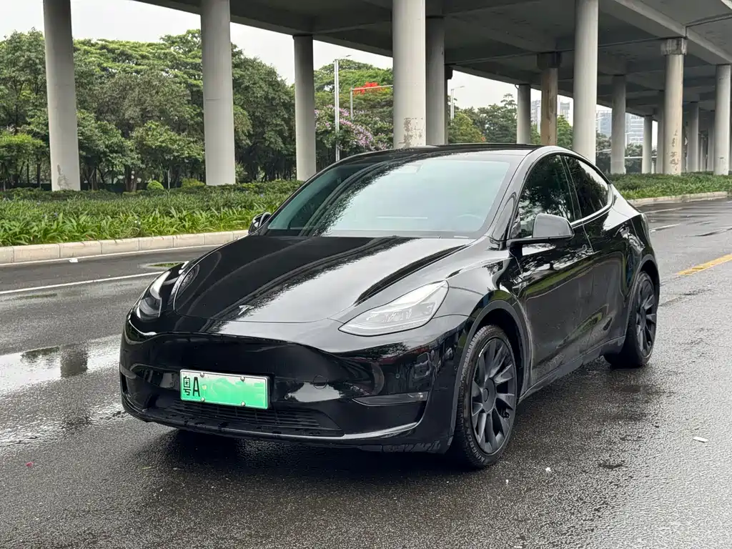 Tesla Model Y 2021
