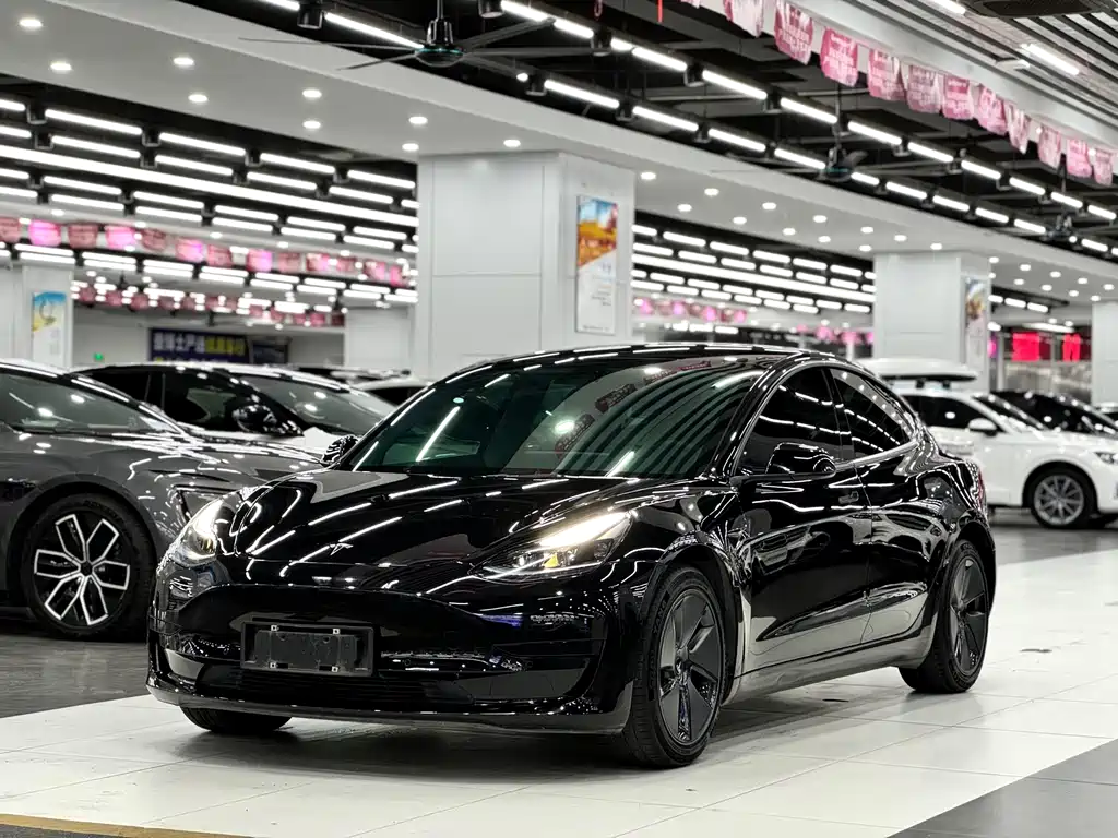 Tesla Model 3 2021