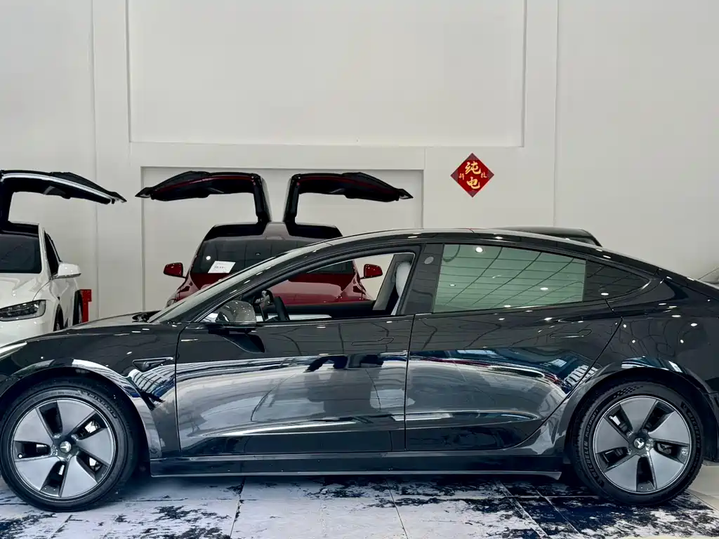 Tesla Model 3 — миниатюра 11