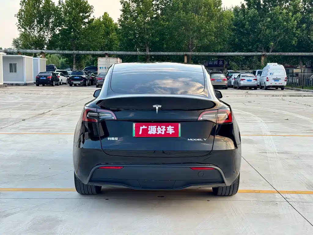 Tesla Model Y — миниатюра 7