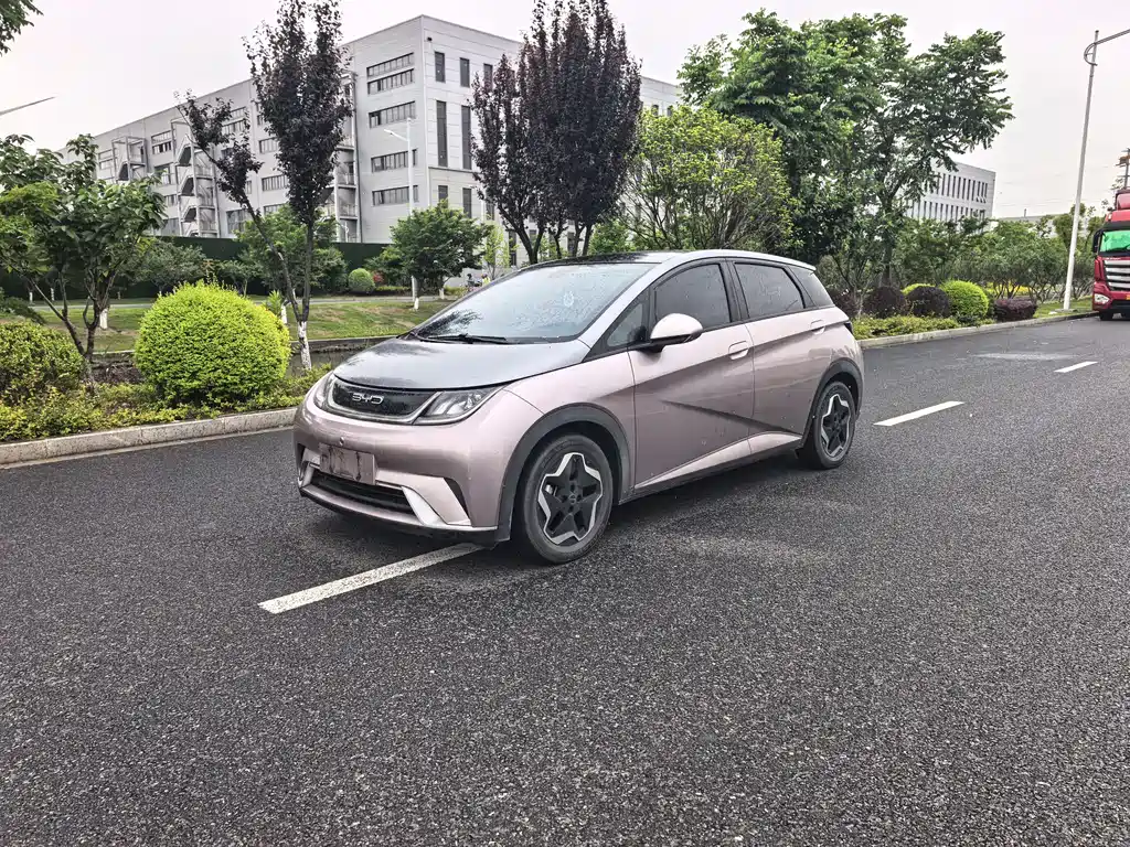 Byd Dolphin 2022