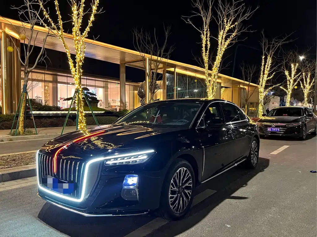 Hongqi Hongqi H5 2024