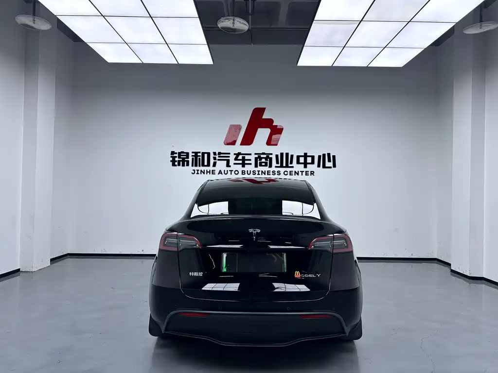 Tesla Model Y — миниатюра 9