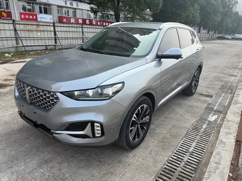 Wey Wey VV6