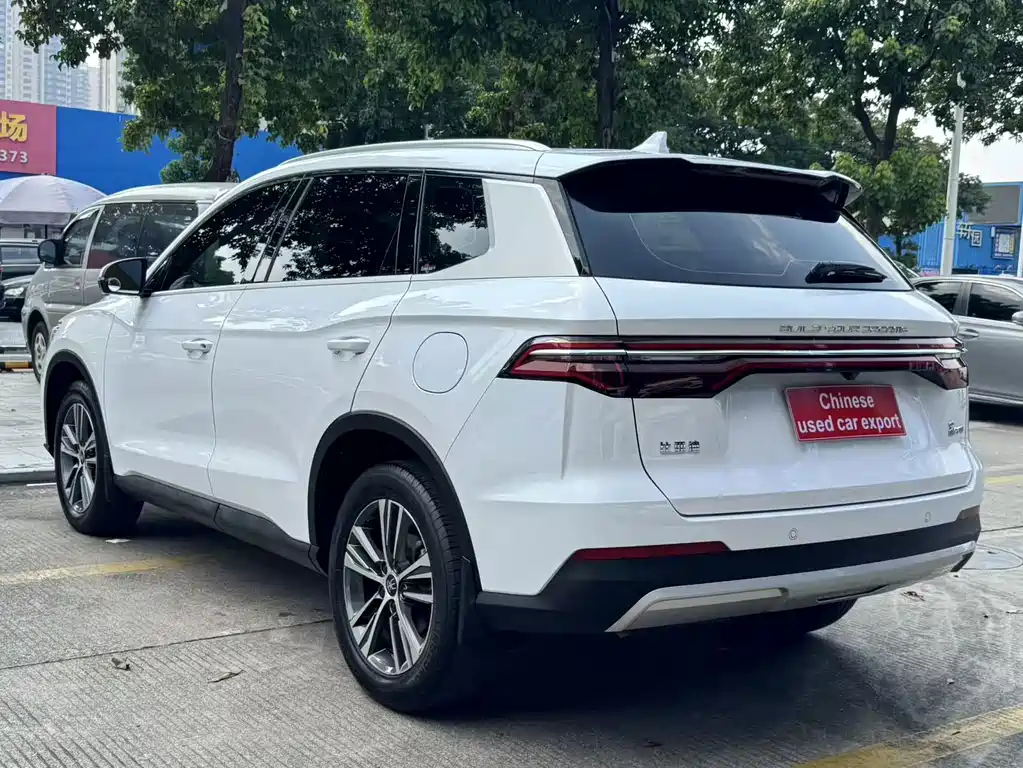 BYD Pro — миниатюра 5