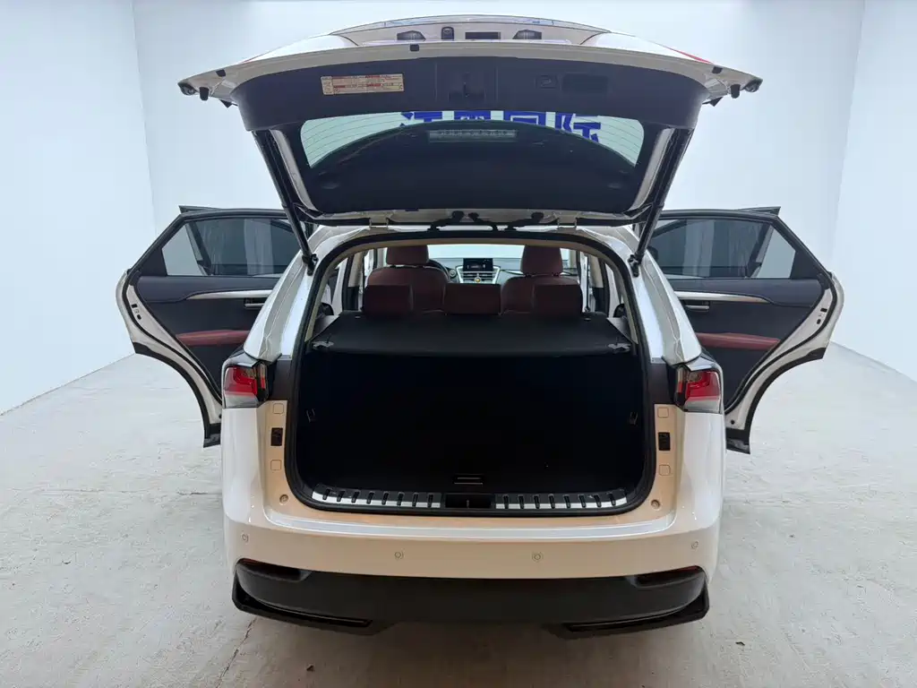 Lexus NX — миниатюра 21