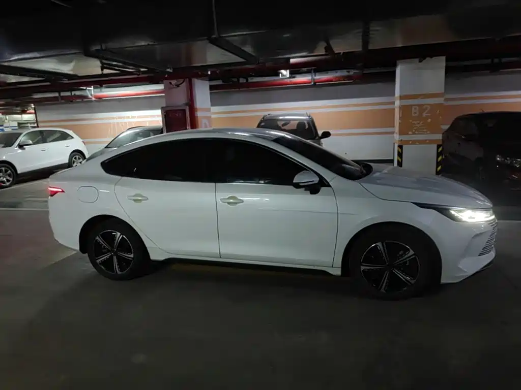 BYD Destroyer 05 — миниатюра 27