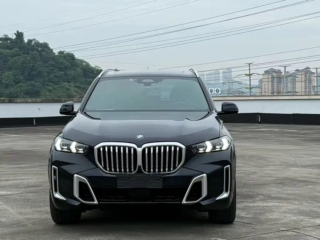 BMW X5 — миниатюра 2