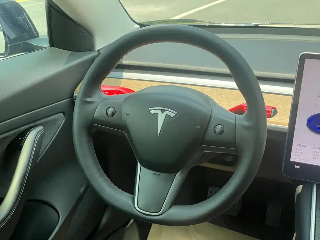 Tesla Model 3 — миниатюра 14